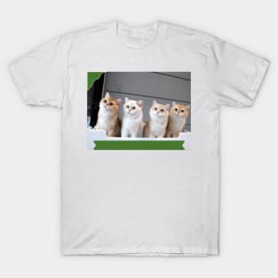 The chubby cats gangs T-Shirt